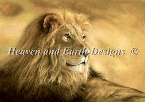 Panthera Leo Lion - Click Image to Close